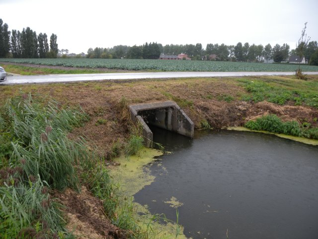 Foto van de huidige situatie van de duiker Torenweg bij project de Drieban