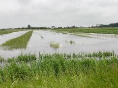 Waterberging De Stolpen in gemeente Schagen